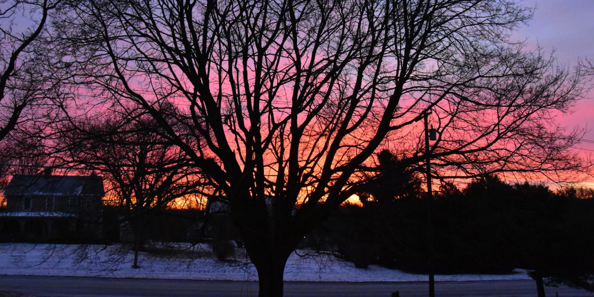 Fat feet, a Sky on Fire, and 20 Years Waiting for a Bird